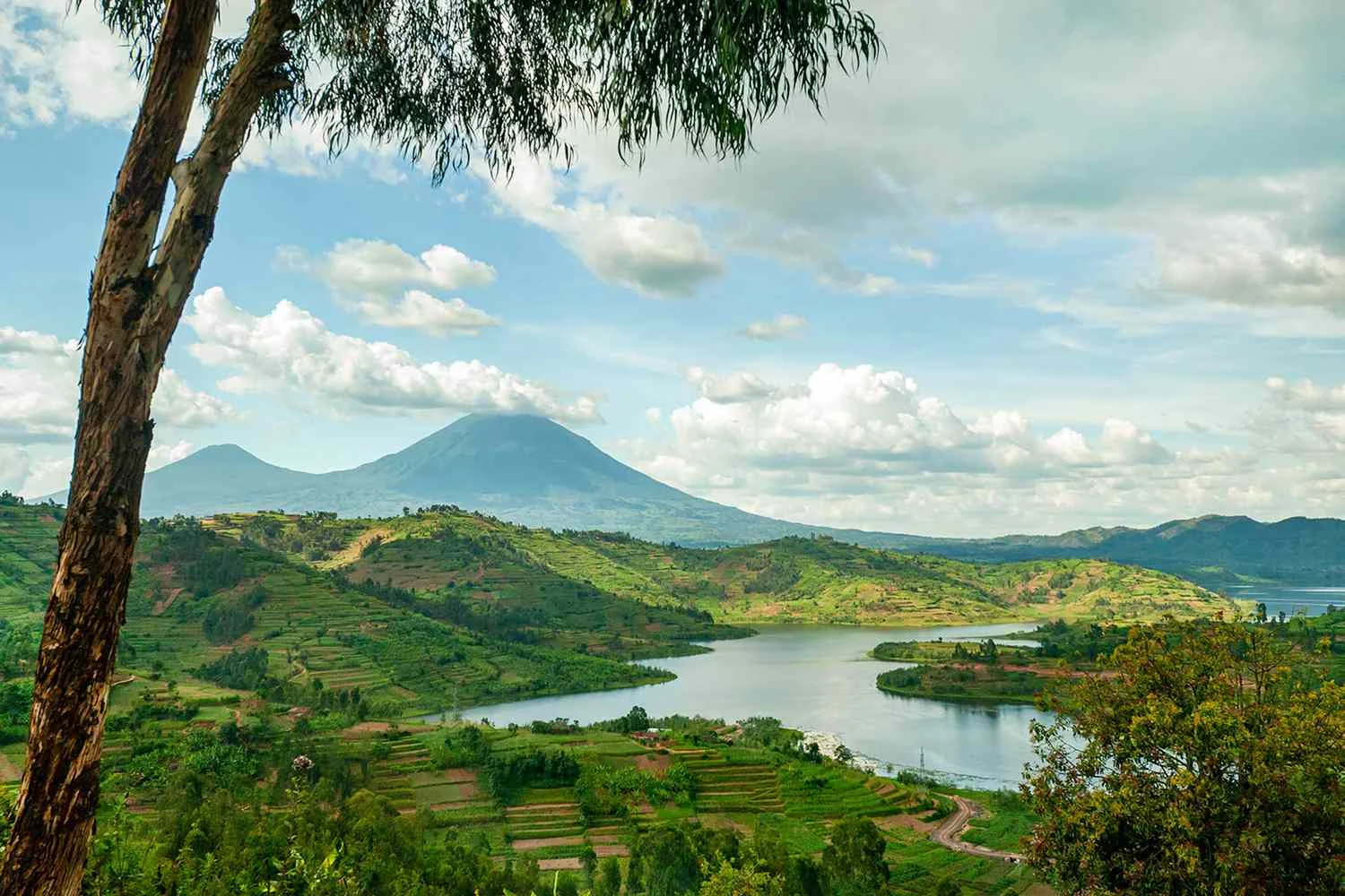 TAL-header-virunga-mountains-rwanda-ALISTRWANDA0123-049a3b1c218e4358a90015bd09fff7be