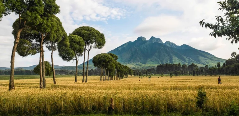 volcanoes-national-park1